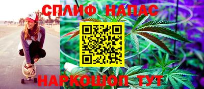 ешки Новозыбков