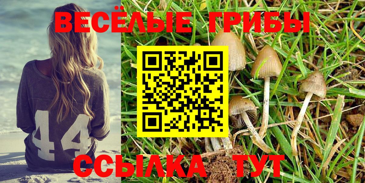 Галлюциногенные грибы Cubensis  наркошоп  Галлюциногенные грибы GOLDEN TEACHER  Сургут  Вход с VPN 